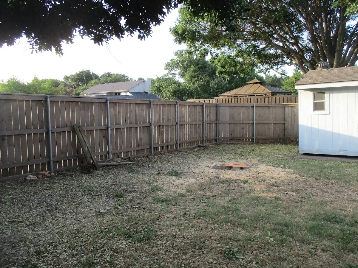 Cleared yard after professional tree removal in Mountain Dale